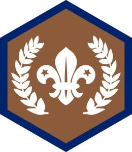 Chief Scout Bronze Award