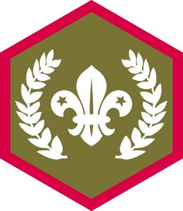 Chief Scout Gold Award