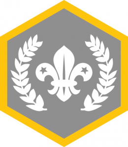 Chief Scout Silver Award